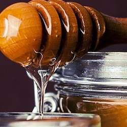 Feiner Honig aus Griechenland und Kreta